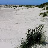 0506G 14 Amrum